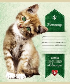 18 л, А5, скрепка, ДОМАШНИЕ ЛЮБИМЦЫ, линия