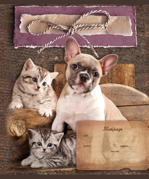 24 л, А5, скрепка, КОТ И ПЕС, линия