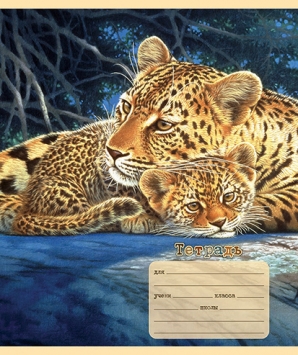 18 л, А5, скрепка, ДИКИЕ КОШКИ, линия