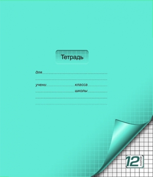 12 листов,  А5, скрепка, ЦВЕТНАЯ с уголком, клетка