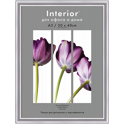 Фоторамка 30х40 пластиковая Interior Office 590/2 Серебро Матовое