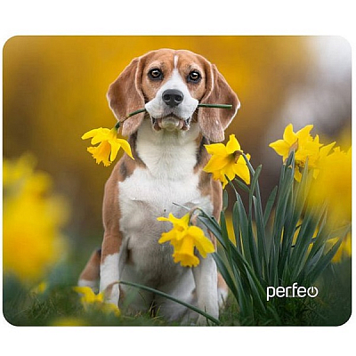Коврик PERFEO Dog №11