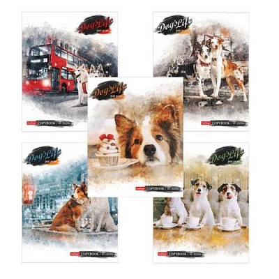 Тетрадь 48 л, А5, скрепка, ВСЕ КАК У ЛЮДЕЙ, клетка