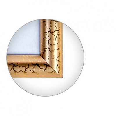 Фоторамка 20x20 пластиковая Зебра 509 Золото