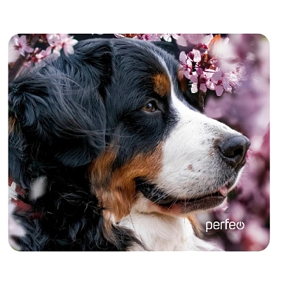 Коврик PERFEO Dog №6 (24x20)