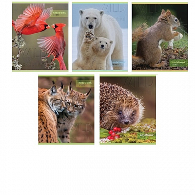 Тетрадь 48 л, А5, скрепка, ДИКИЙ МИР, клетка