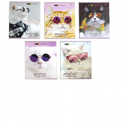 Тетрадь 48 л, А5, скрепка, КОТИКИ В ОЧКАХ, клетка