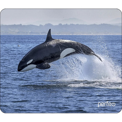Коврик PERFEO Фауна "Касатка"