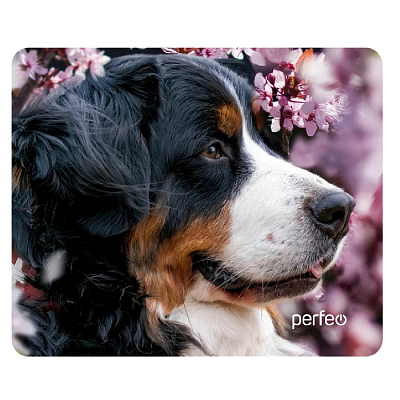 Коврик PERFEO Dog №6