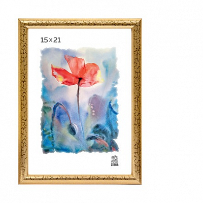 Фоторамка 15х21 пластиковая Зебра 509 Золото