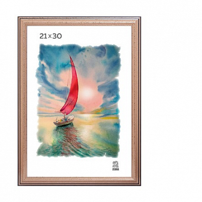 Фоторамка 21х30 пластиковая Зебра 309 Золото