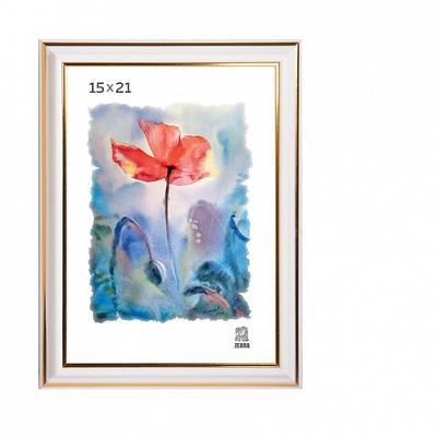 Фоторамка 15х21 пластиковая Зебра 300 Белый