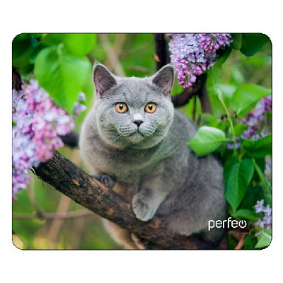 Коврик PERFEO Cat №40 (24х20)