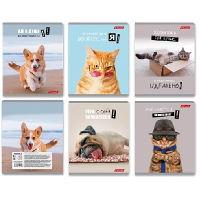 Тетрадь 48 л, А5, скрепка, СМЕШНЫЕ И ШЕРСТЯНЫЕ, клетка