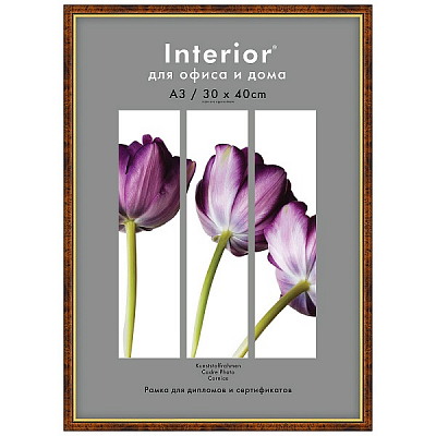 Фоторамка 30х40 пластиковая Interior Office 582 Темный орех