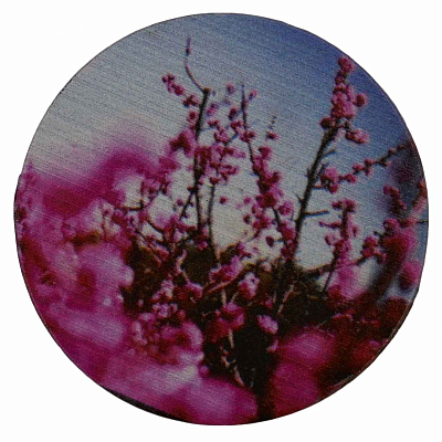 Popsocket с принтом Ассорти