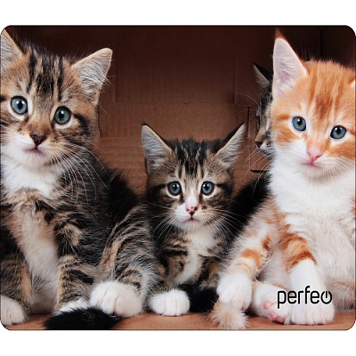 Коврик PERFEO Cat №6