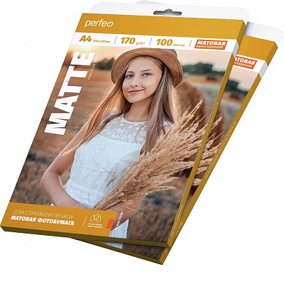 Фотобумага Perfeo матовая А4 170г/м 100 листов (M04)