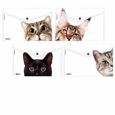 Папка на кнопке A4 Erich Krause Hidigg Cat 160мкм, прозрачная, ассорти (12)