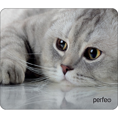 Коврик PERFEO Cat №22